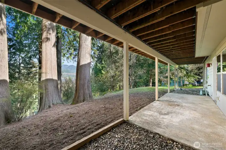 Lower level covered patio with walkout