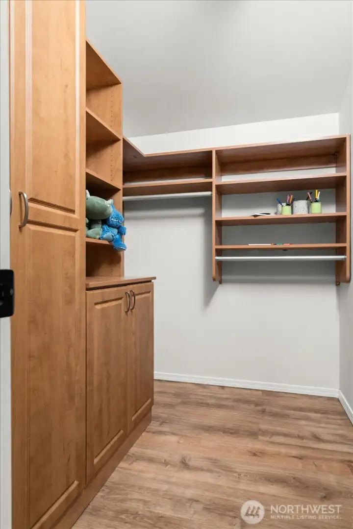 Large walk-in closet in 2nd bedroom with built-ins.