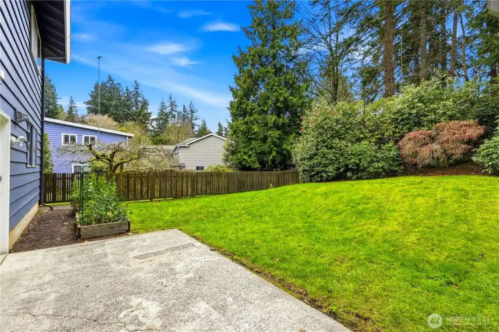 Large mostly level back yard.