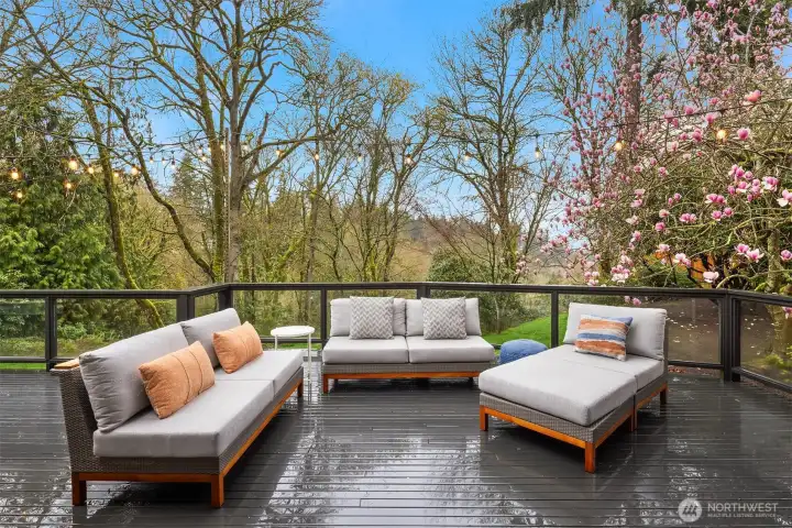 Clear deck railings make you feel like you're floating away in your own private outdoor oasis!