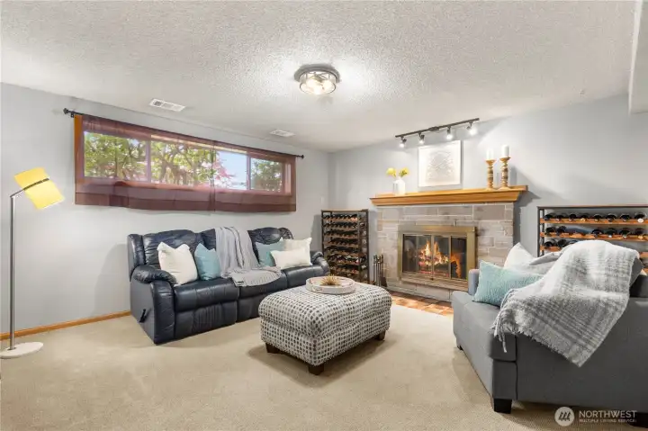 Lower-level family room