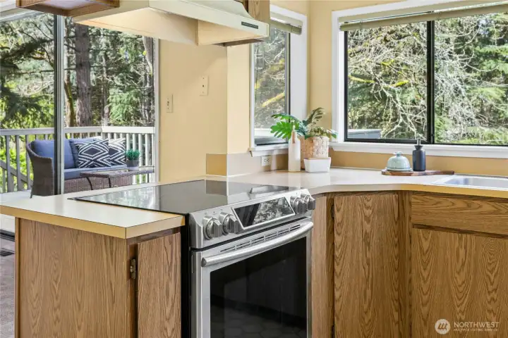 Looking out the kitchen window to the fenced backyard.