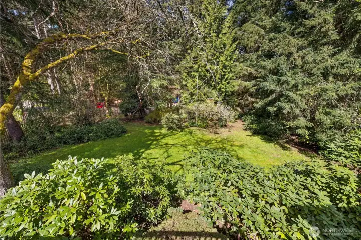The fenced backyard has a lawn framed by mature shrubs and evergreens.