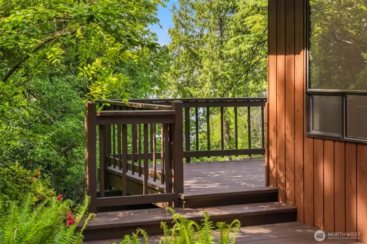 Step down from deck to large side yard garden/play area