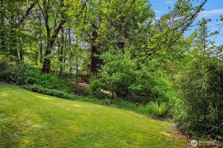 This lush large lot, over 15,000 sq ft, features level areas and a gentle slope down to a steeper incline.