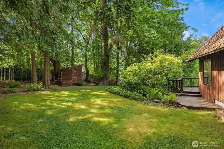 Long tree-lined fence behind the shed runs along the southern edge of the property.