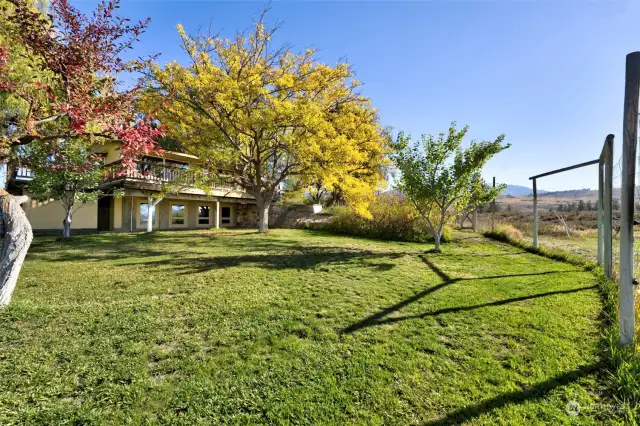 Plenty of room for play in the fully fenced yard.