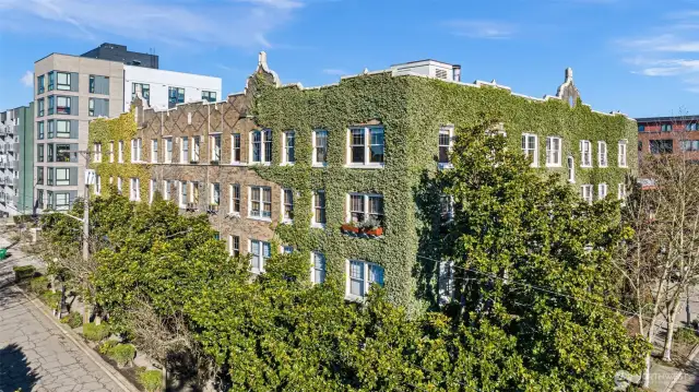 Park Lane Place is one of Capitol Hill’s most beautiful classic buildings, with its ivy-covered golden-brick walls, courtyard, surrounding magnolia trees and old-style lampposts.