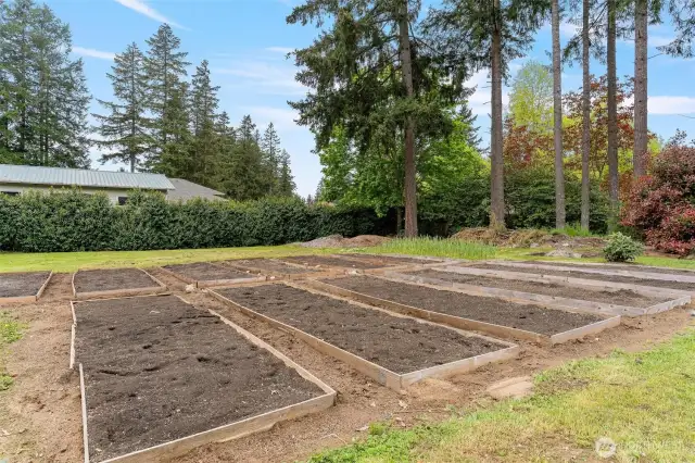 800 sq ft veg/flower garden beds