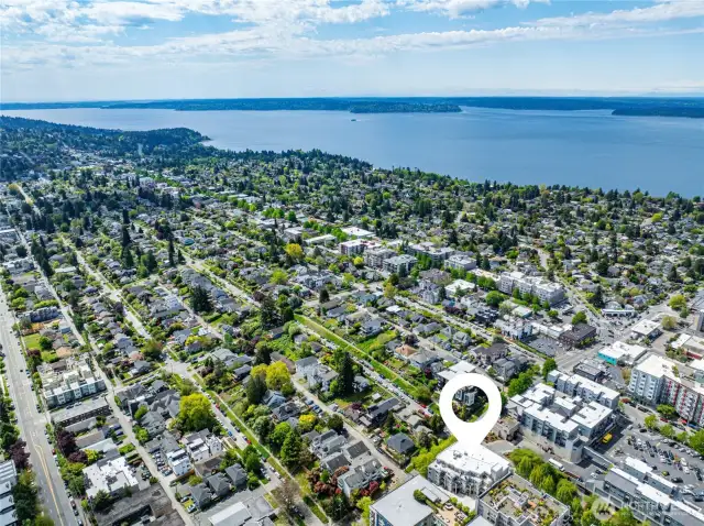 View of West Seattle, with Lincoln Park in the background.