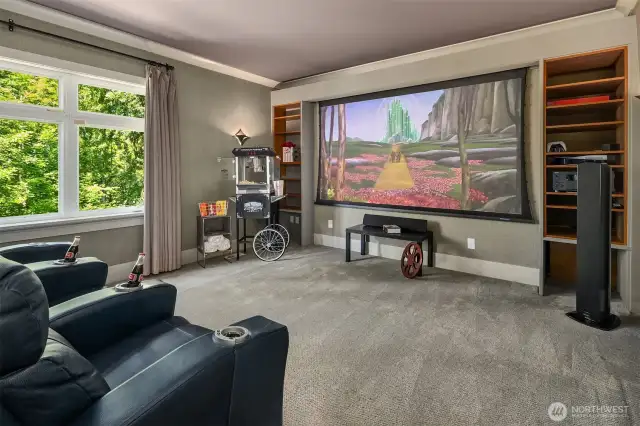 Acoutically Engineered Theater Room