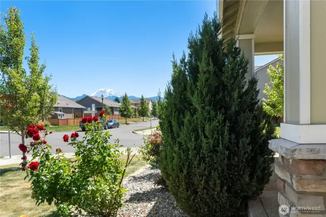 Mount Rainier View from front porch as well as side yard!
