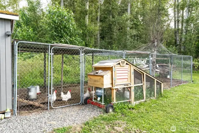 Fresh eggs and farm-style charm—this well-kept chicken coop adds a fun and functional touch to the property.