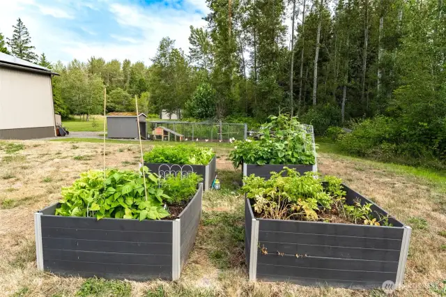 Grow your own veggies, herbs, or flowers—these raised garden beds are ready for your green thumb.