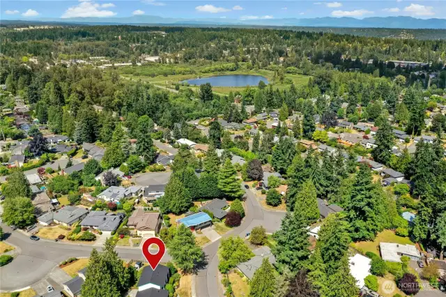 You're in such a great neighborhood, just moments from downtown Bellevue, with easy access to I-90 to the south and Microsoft to the north. Bellevue Schools are all nearby.