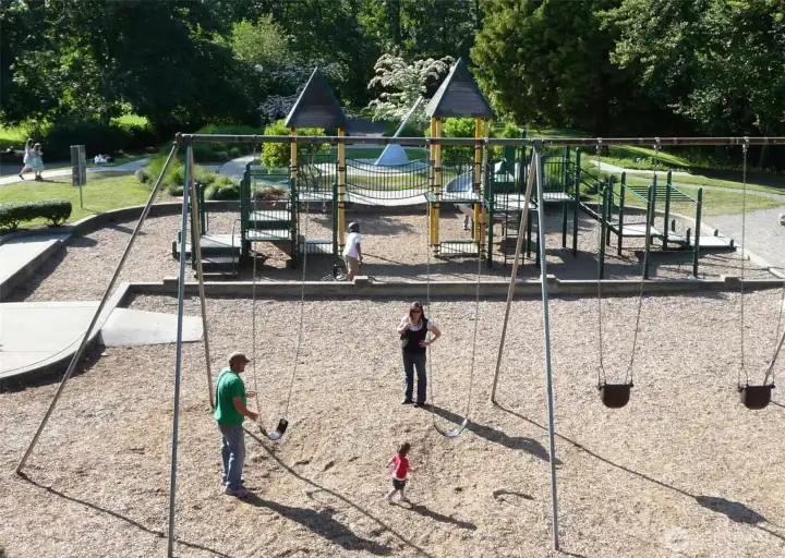 Cowen park swings