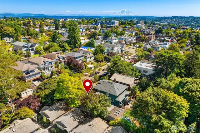 Located in Central Seattle w easy commute to Downtown Seattle, Capitol Hill. A quick stroll to 12th Avenue eateries and hot spots, Seattle University campus, Swedish Hospital + Health.