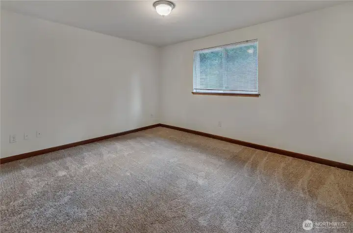 Carpet was just laid!