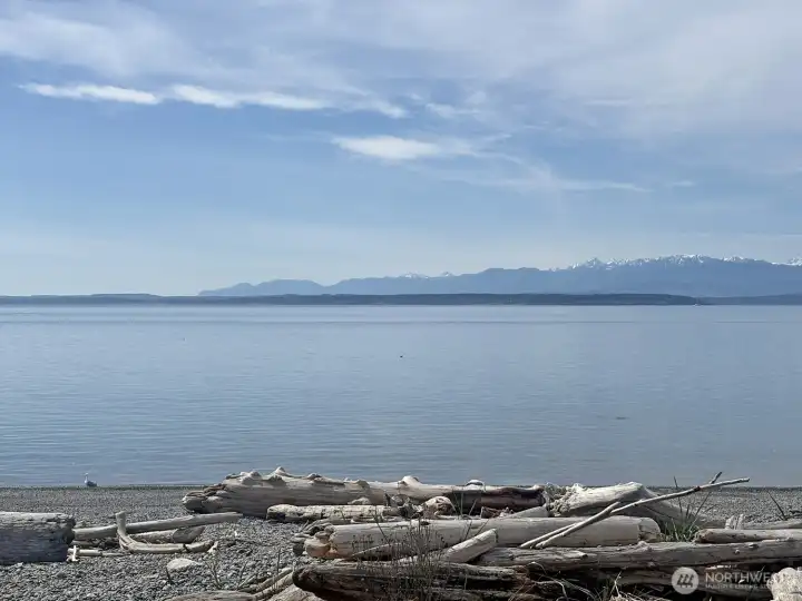 Puget Sound and the Olympic Mtns, sailboats, big ships, sea life, sunsets and more ...