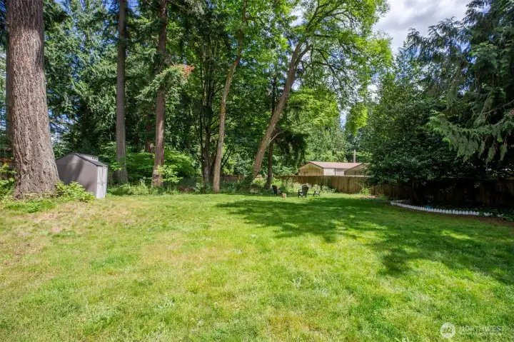 back yard
