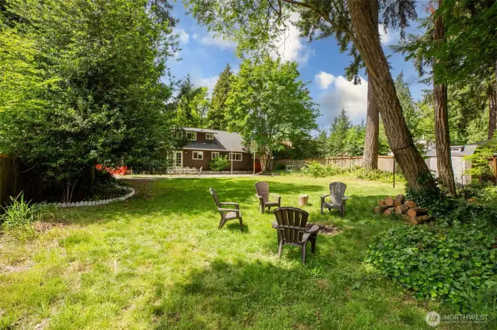 back yard