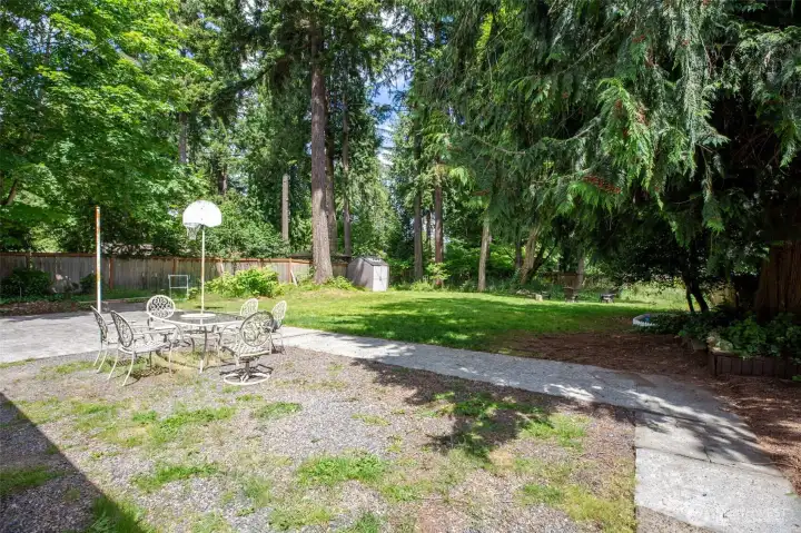 back yard