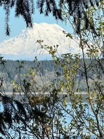 Sound View and Rainier1