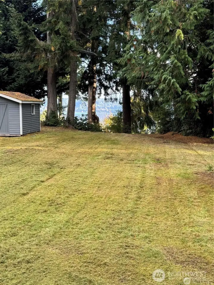 Large Flat Cleared Lot Planted with Grass and Shed