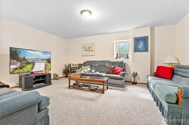 Yet another living room off rec room in basement