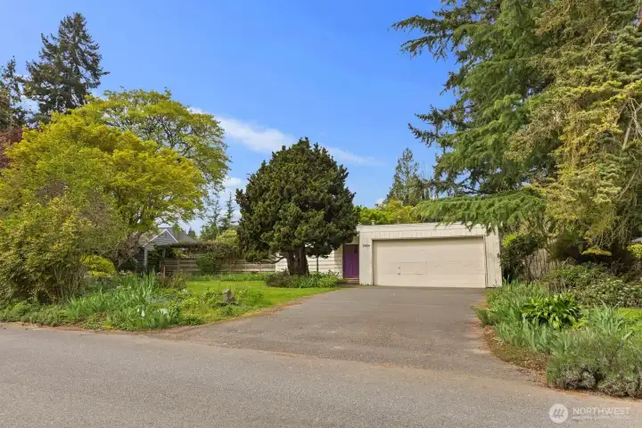 Very large flat lot close to Downtown Bellevue