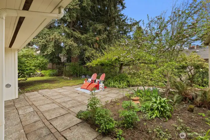 East side yard features apple trees from the 1950's or earlier