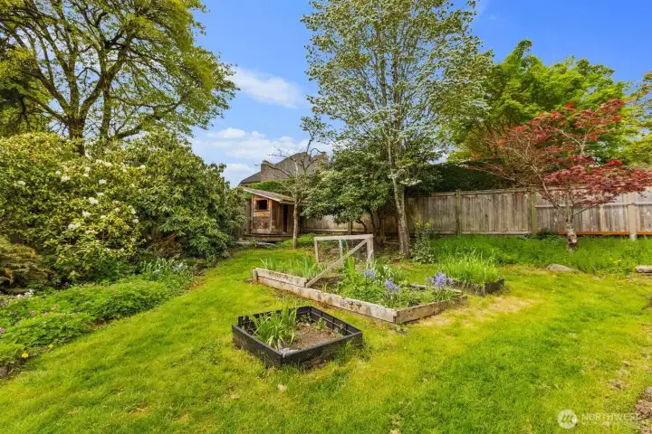 Perfect yard for the avid gardner. Vine maples, dogwoods, red japanese maple to name a few of the plants.