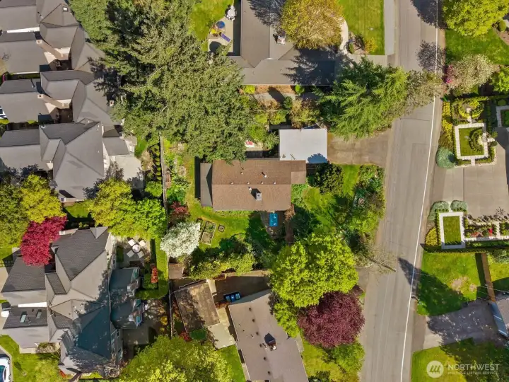 Very large, flat 11,433 square foot lot