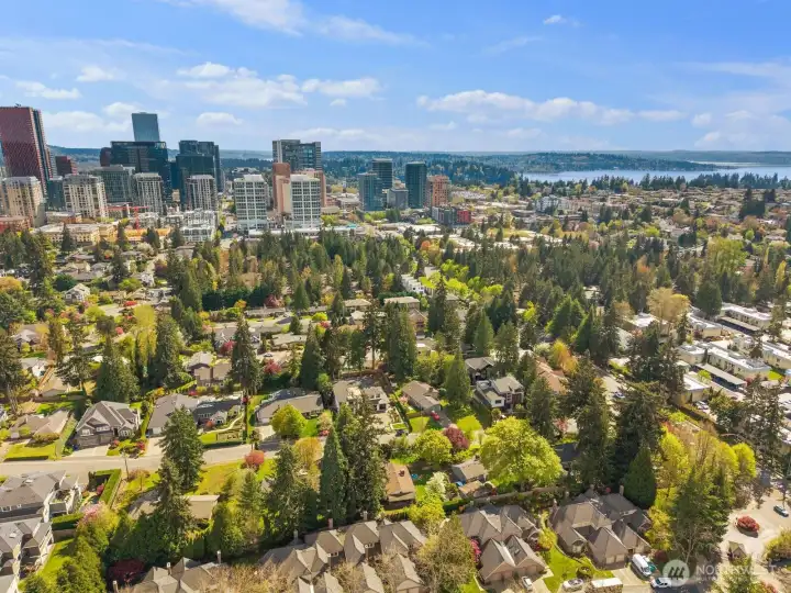 Quiet residential street with great access to all of Bellevue, freeways, shops and more.