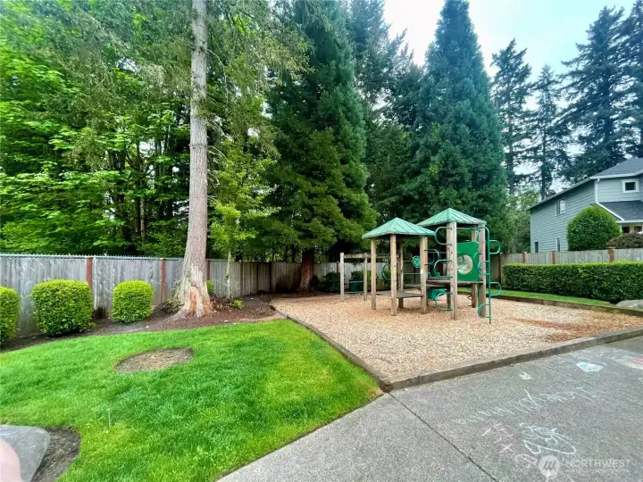 playground across the street
