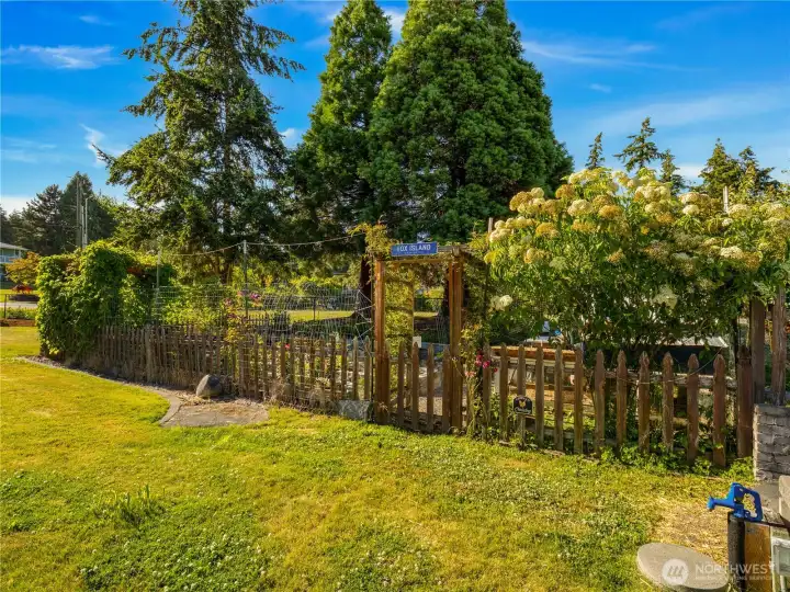 The front yard is beautiful too. "Deer Proof" vegetable garden with a chicken coup. Cloud, Angel, Olive and Cream Puff, those are the chickens, can be conveyed with the home if so desired.