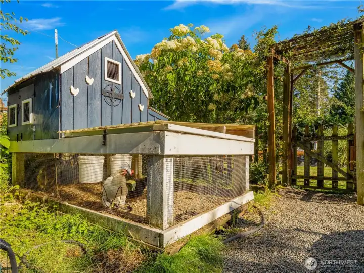 This chicken condo has a very nice set up. The chickens even have their own mirror which they enjoy.