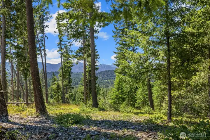 Middle of homesite setting Middle of homesite setting