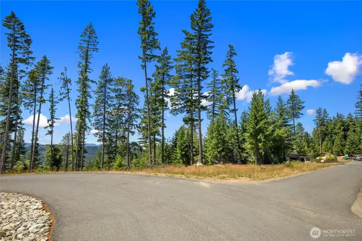 Street view of homesite Street view of homesite