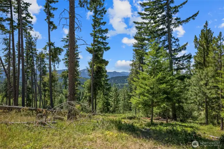 Top of homesite view Top of homesite view