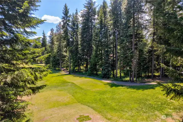 Tee box for 5th hole is nearby but tucked behind many trees for privacy.