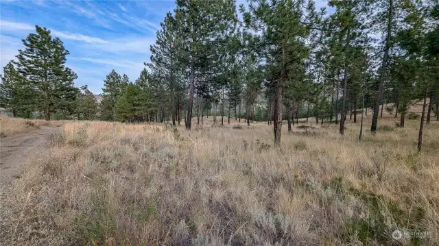 Let's take a walk around the property. Looking North from the east side of garage.