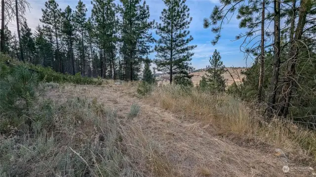 Original cabin side on East area of property looking NW.