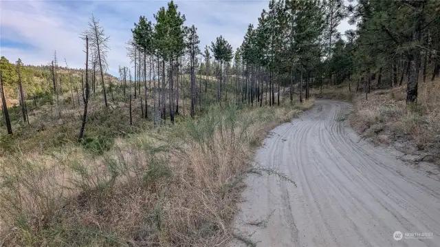 Looking at SE area of the property.There is an old road to access this area.