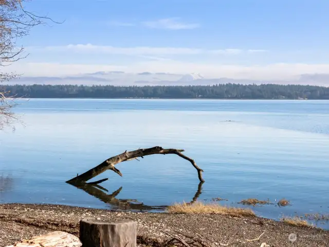 Community Beach Access