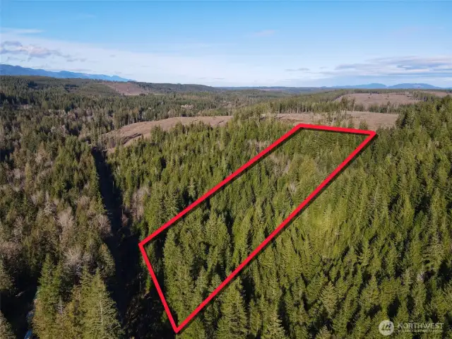 Overhead view with approximate boundaries in red.