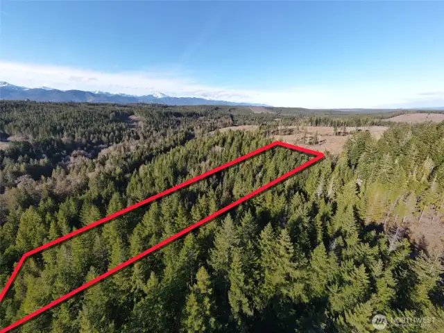 Overhead view with approximate boundaries in red.