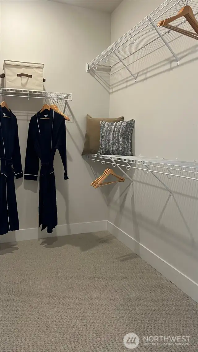 Spacious walk-in closet and across is a 2nd closet.