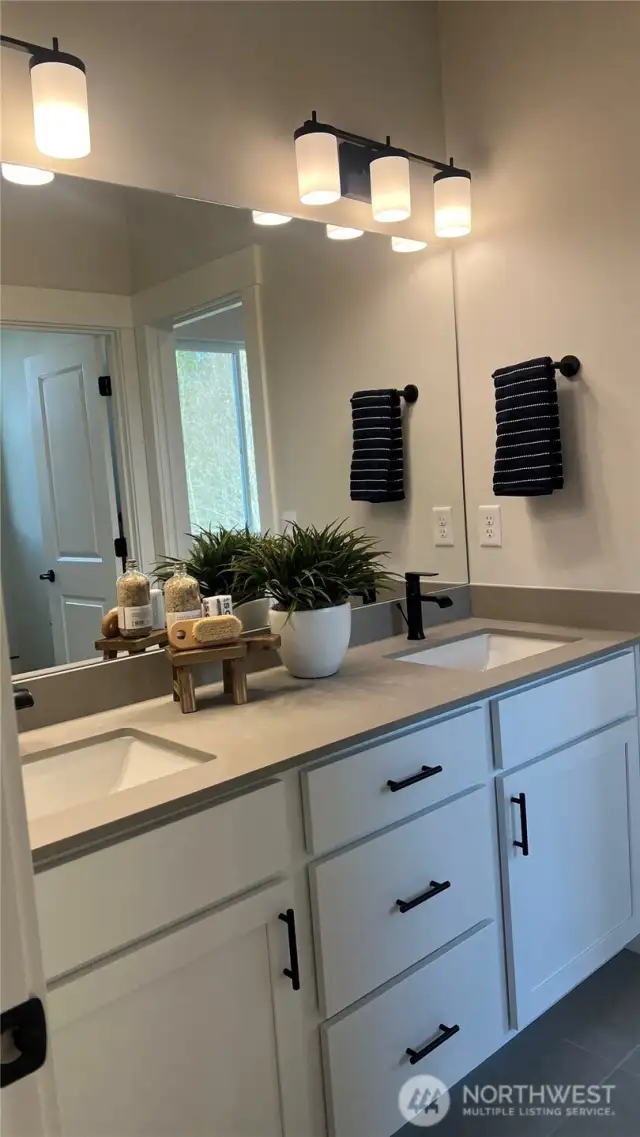 Main bth with dual sinks