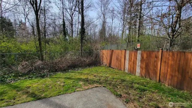 Unit B backyard